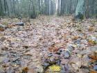 Прикрепленное изображение: IMG-20251107-WA0005.jpg