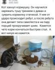 Прикрепленное изображение: кот хакнул кормушку.jpg