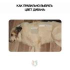 Прикрепленное изображение: Цвет дивана.jpg