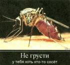 Прикрепленное изображение: ______af9308a8.jpg