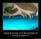 Прикрепленное изображение: _____.jpg