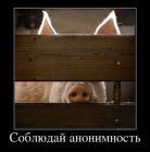 Прикрепленное изображение: Анонимность_269ce27d.jpg