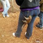 Прикрепленное изображение: image.jpg