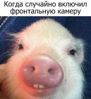 Прикрепленное изображение: image.jpg