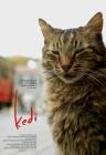 Прикрепленное изображение: kedi-film-poser+2.jpg