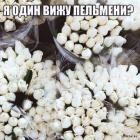 Прикрепленное изображение: 1575375997.jpg