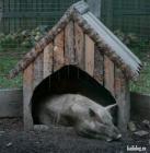 Прикрепленное изображение: C__Data_Users_DefApps_AppData_INTERNETEXPLORER_Temp_Saved Images_1411532886_005.jpg