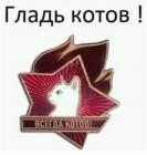 Прикрепленное изображение: 80597649_2639660889488219_3514382059676106752_n.jpg