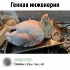 Прикрепленное изображение: RvjZCi2ScQM.jpg