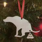 Прикрепленное изображение: Собака 2020 ZDYR_sNqCow.jpg