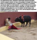 Прикрепленное изображение: матадор.jpg