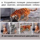 Прикрепленное изображение: image.jpeg