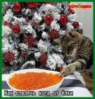 Прикрепленное изображение: 269847331_2324894637652623_345787053120805708_n.jpg