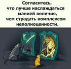 Прикрепленное изображение: 1639671386.jpg