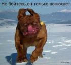 Прикрепленное изображение: 1638519505.jpg