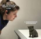 Прикрепленное изображение: Котик травмированный пробуждением.jpg