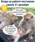 Прикрепленное изображение: Работа 31 декабря.jpg