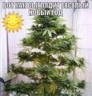 Прикрепленное изображение: Веселый новый год.jpg