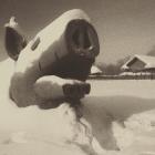 Прикрепленное изображение: 5.jpg