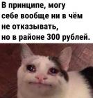 Прикрепленное изображение: Могу все по 300.jpg