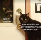 Прикрепленное изображение: 412762851_408837784806894_8166378707928067644_n.jpg