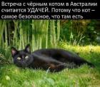 Прикрепленное изображение: 1733987125.jpg