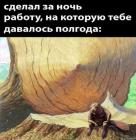 Прикрепленное изображение: 1733045877.jpg