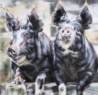 Прикрепленное изображение: 41507_DebbieBoon_ARightPair_fs_hf.jpg