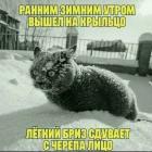 Прикрепленное изображение: легкий бриз.jpg