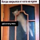 Прикрепленное изображение: Дай котлету.jpg