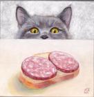 Прикрепленное изображение: 7hMknAOq9C3KlCUJ6YcmHrwBSyLj979Y.jpg