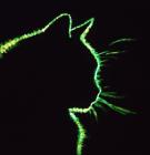 Прикрепленное изображение: Za0Z-SXh6hXCZBUVxWsufQ0_Kl6CbG2UnCGt6O17FBsG.jpg