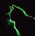 Прикрепленное изображение: XJSaEiDACEjqNCShCGdBoZPvbruJMDp-HBOvnPdBkF92p3X.jpg