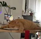 Прикрепленное изображение: b81dc4c482394630a0f18017d02f19ce.jpg