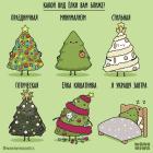 Прикрепленное изображение: Виды елок.jpg