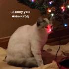 Прикрепленное изображение: На носу Новый год.jpg